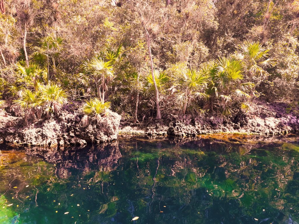 Exploring the Ciénaga de Zapata is an adventure. Havana 60