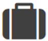 bag icon