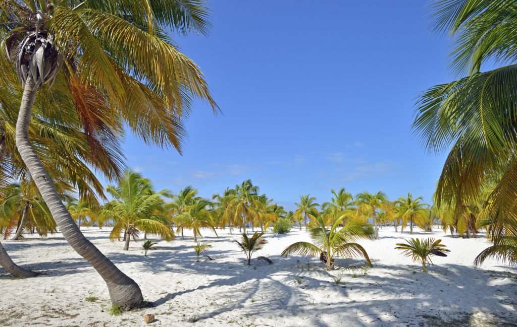 Cayo Largo Beach