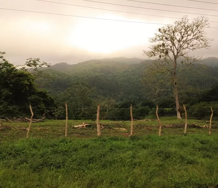 tipically landscape in topes de collantes